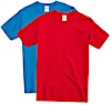 Hanes Authentic T-shirt