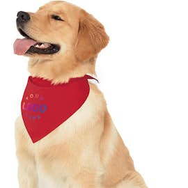 loading first style image