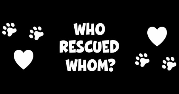 Zoomed in Design Idea Number 52260: Who Rescued Whom?