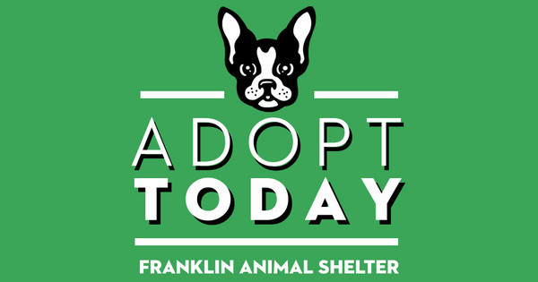 Zoomed in Design Idea Number 47977: Adopt Today Frenchie