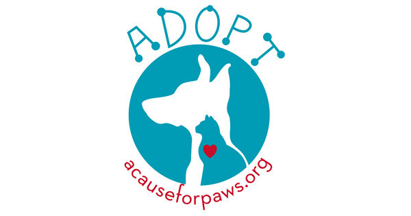 Zoomed in Design Idea Number 57519: adopt