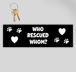 Thumbnail for Design Idea Number 52260: Who Rescued Whom?