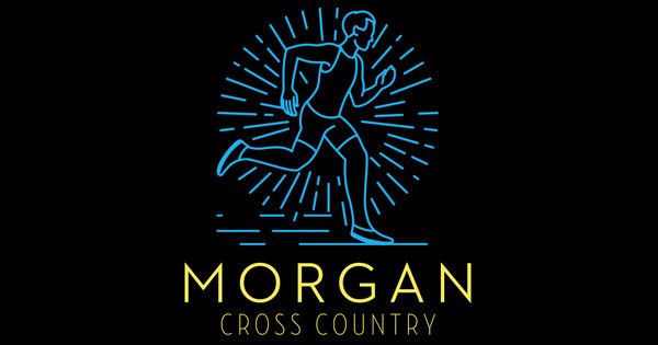 Zoomed in Design Idea Number 58607: Cross Country Blue Runner