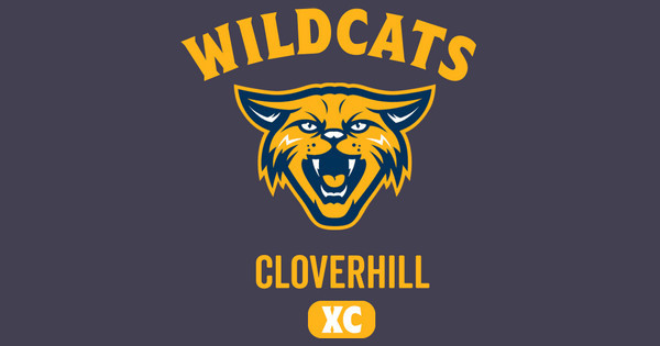 Zoomed in Design Idea Number 58399: wildcats