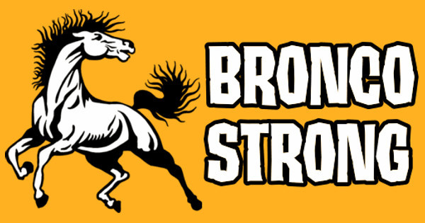 Zoomed in Design Idea Number 54767: Bronco Strong