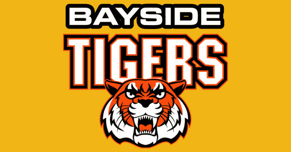 Zoomed in Design Idea Number 58625: tigers