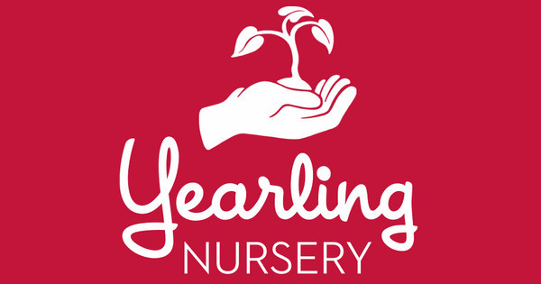 Zoomed in Design Idea Number 55241: landscaping